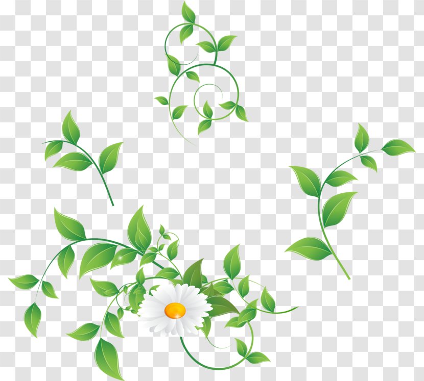 Floral Design Green Flower Stock Photography - Plant Stem Transparent PNG