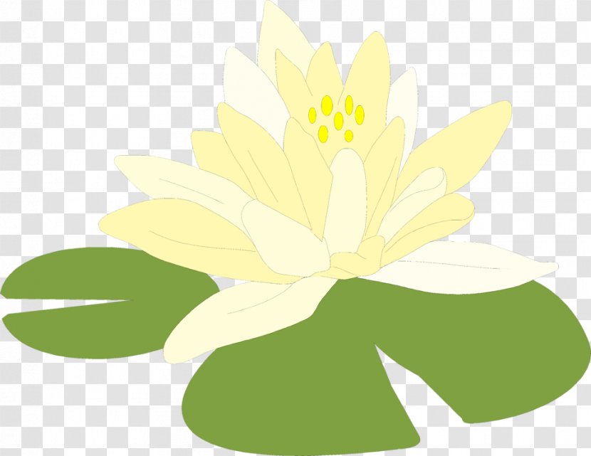 Line Art Drawing Clip - Flora - Water Lilies Transparent PNG