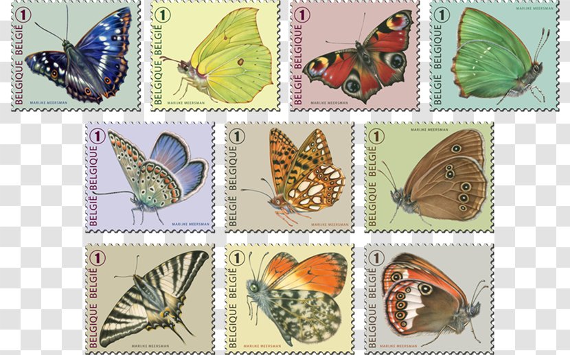 Belgium Postage Stamps Mail Post Cards Illustrator - Bpost Transparent PNG