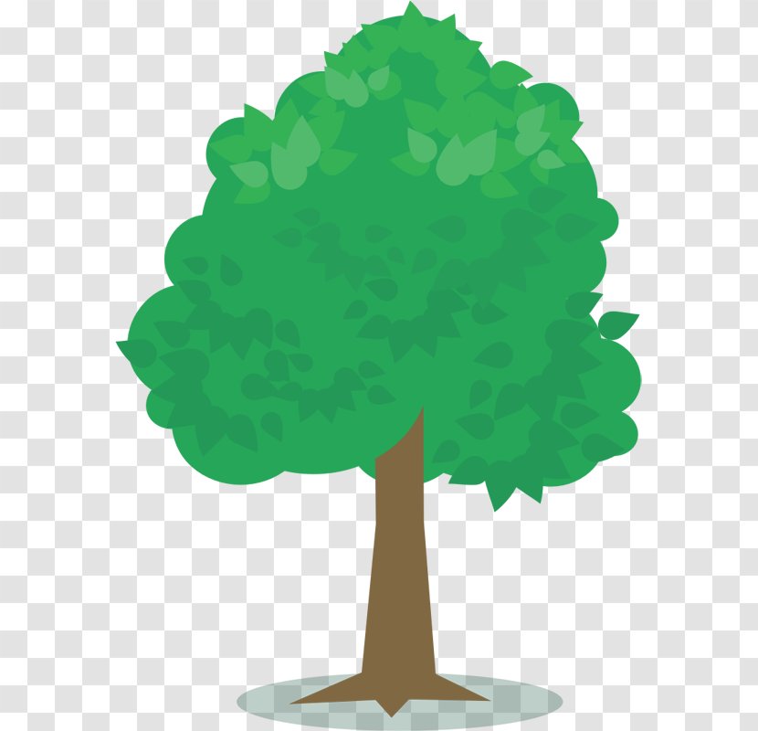 Tree Planting Oak Clip Art - Green - Banyan Vector Transparent PNG