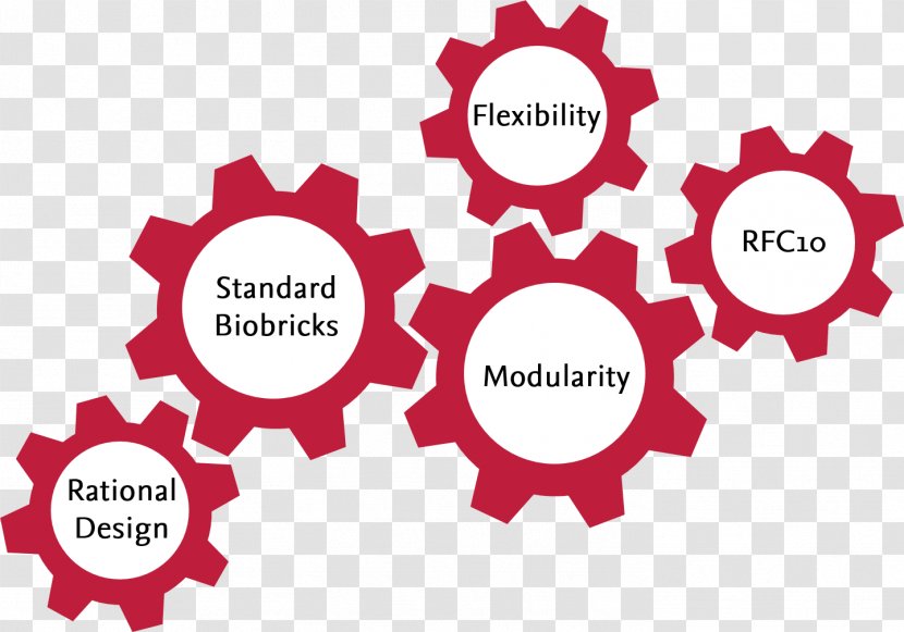 Project Engineering Design Engineer Electrical Chemical - Principle Transparent PNG