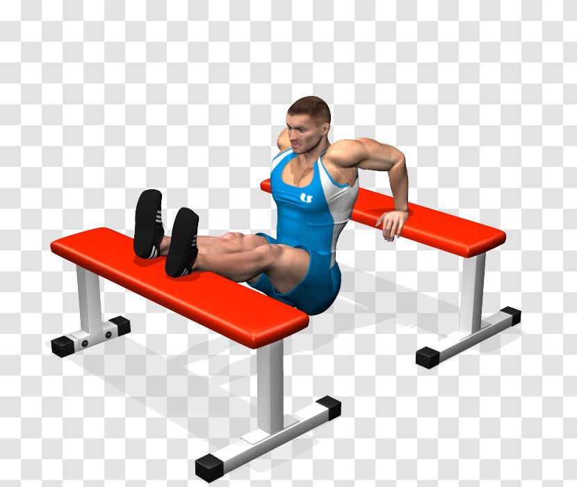 Dip Bench Press Triceps Brachii Muscle Lying Extensions - Furniture - Dumbbell Transparent PNG
