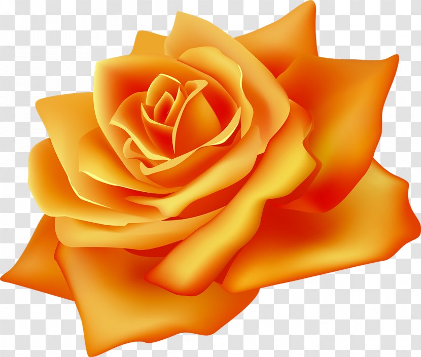 Flower Rosa Chinensis Desktop Wallpaper Clip Art - Valentine S Day - Yellow Rose Transparent PNG