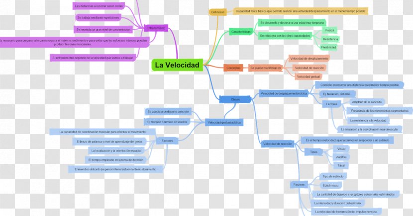 Concept Map Diagram Brand - Physical Education - Velocidad Transparent PNG