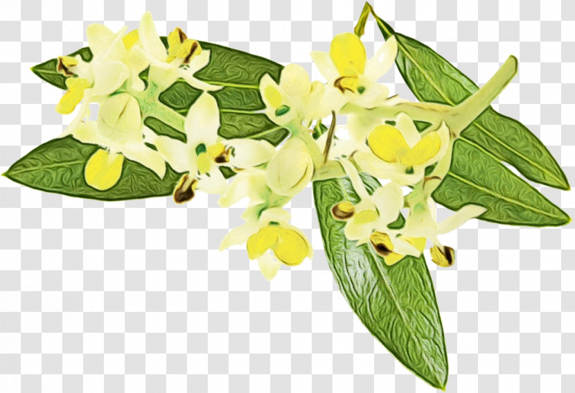 Floral Design Transparent PNG