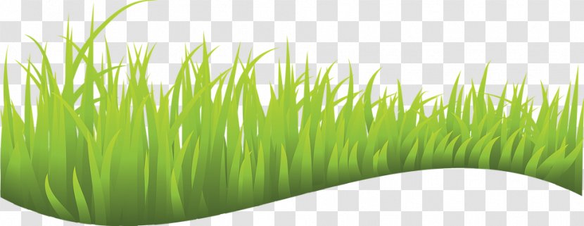 Lawn Royalty-free Clip Art - Commodity - Silhouette Transparent PNG
