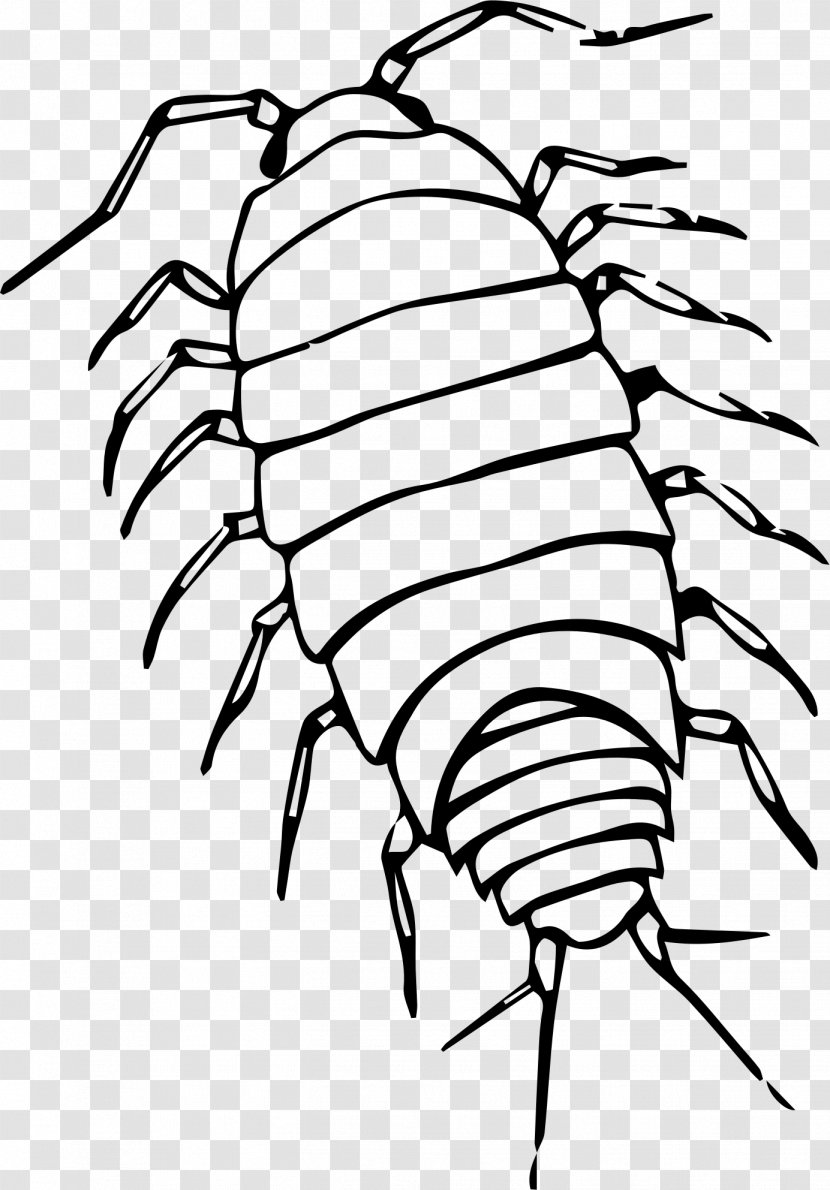 Pill Bugs Black And White Roly-poly Clip Art - Plant - Monochrome Transparent PNG