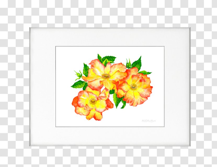 Floral Design Cut Flowers Picture Frames Petal Pattern - Flower Arranging - Mary Jane Transparent PNG