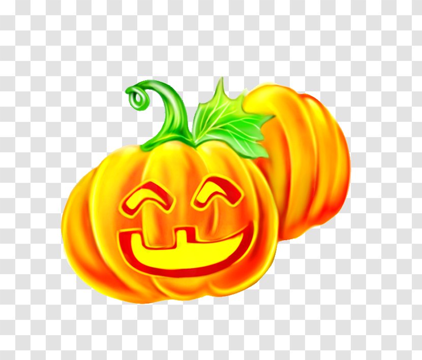 Cartoon Comics Download - Squash - Halloween Pumpkin Transparent PNG