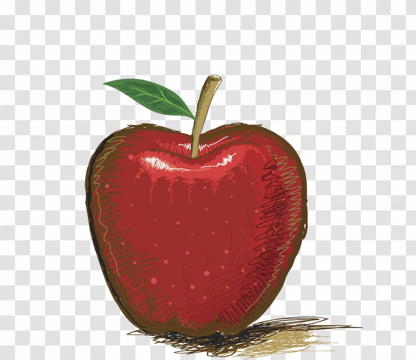 Drawing Apple Illustration - Red Delicious - Hand-painted Apples Transparent PNG