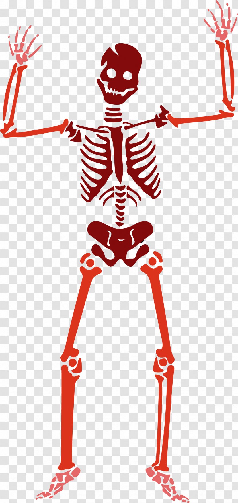 Clip Art Skull Human Skeleton Halloween Transparent PNG