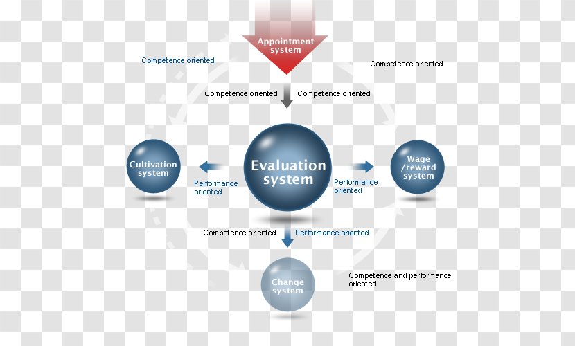 Job Rotation Organization Information Diagram - Text - Selfcultivation Transparent PNG