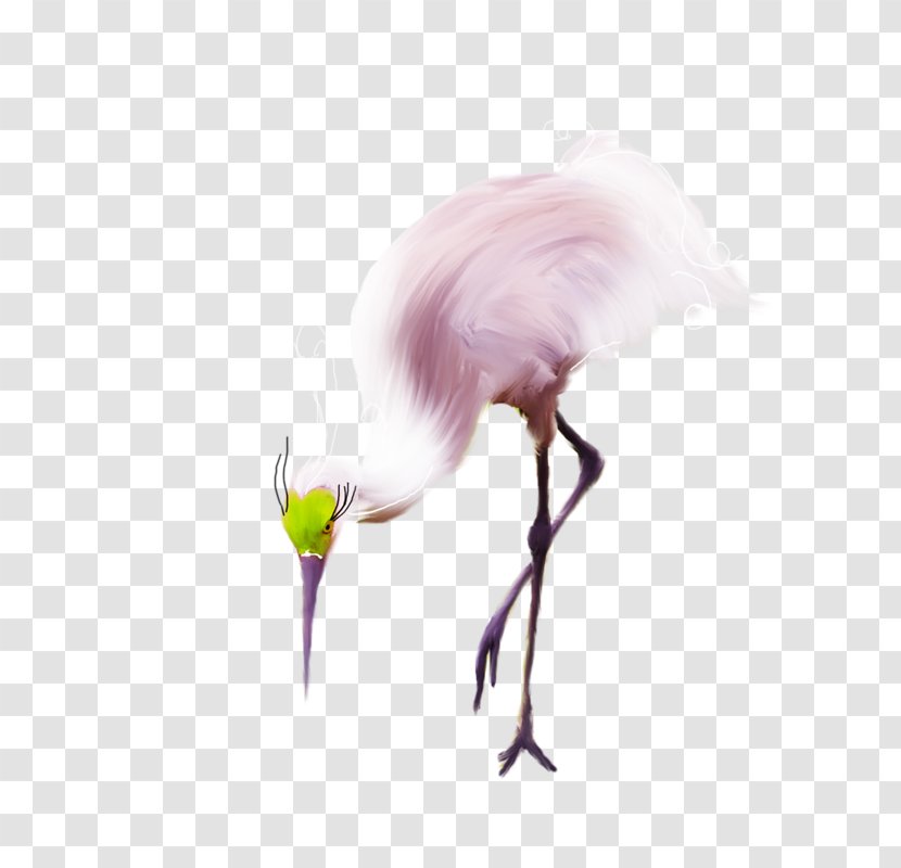 Bird Ardea - Watercolor Painting - Rose Lute Mouth Heron Transparent PNG