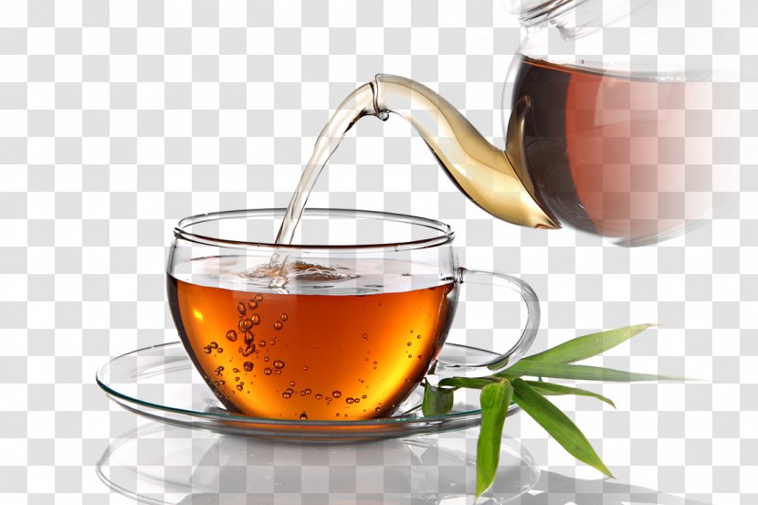 Teacup Coffee Juice Herb - Assam Tea Transparent PNG