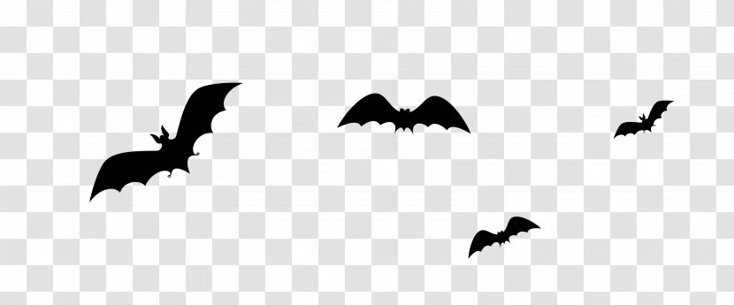Bat Halloween Jack-o-lantern - Jackolantern - Black Transparent PNG