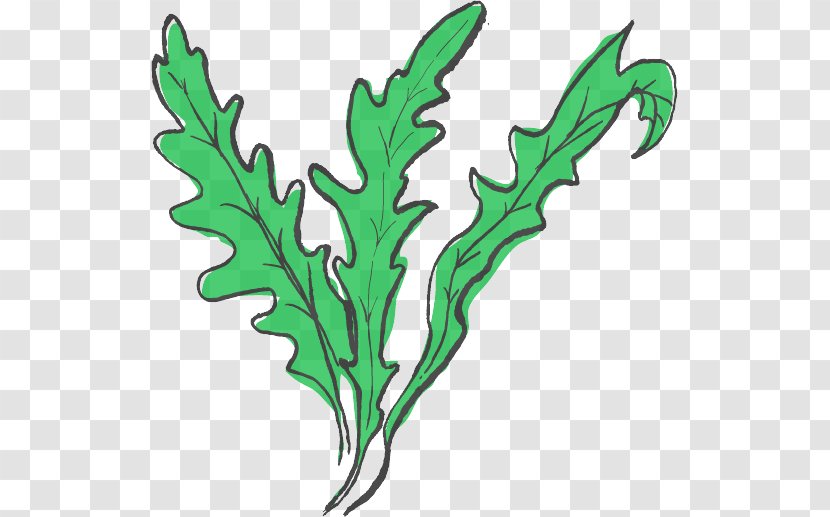 Leaf Plant Clip Art Transparent PNG