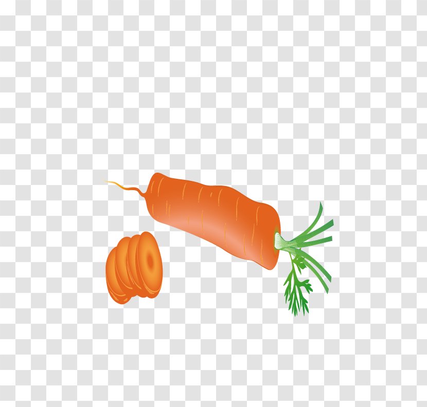 Carrot Download - Transparency And Translucency - Fresh Carrots Transparent PNG