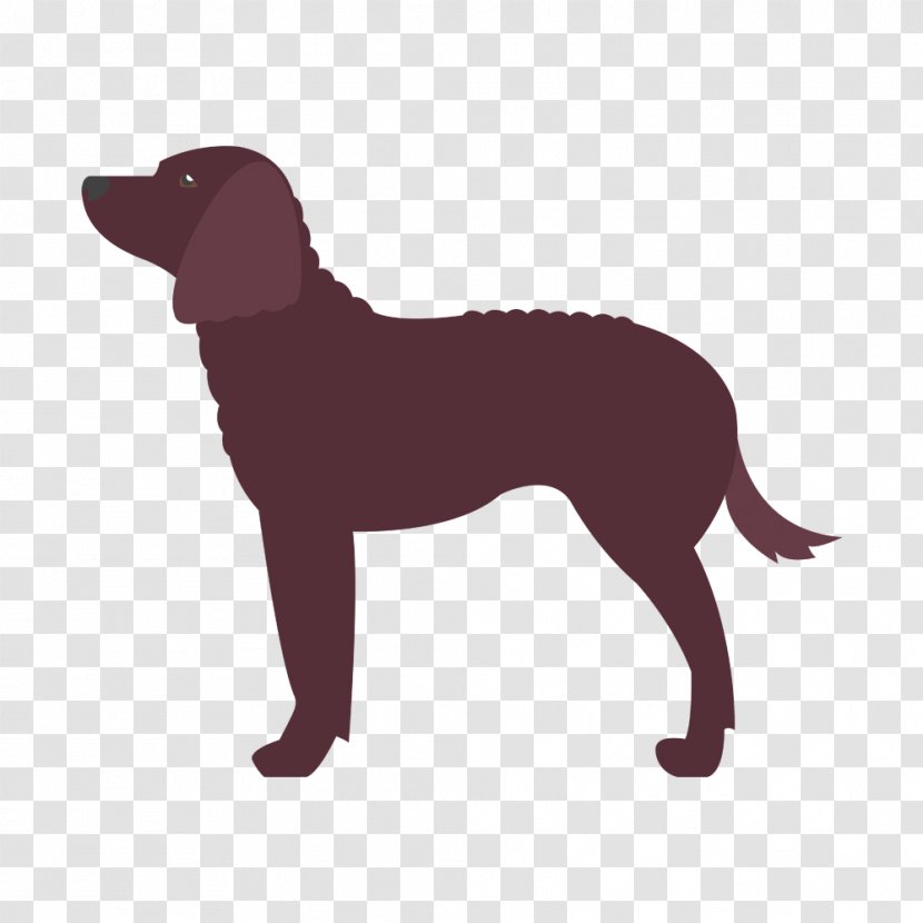 Labrador Retriever Dog Breed American Water Spaniel English Foxhound - Springer Transparent PNG