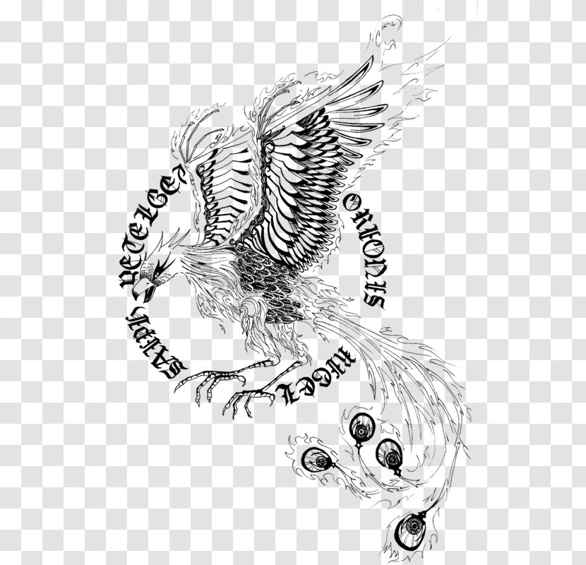 Tattoo Line Art Phoenix Visual Arts Sketch - Silhouette Transparent PNG