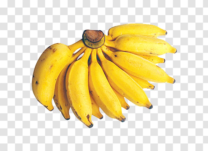 Dwarf Cavendish Banana Fruit Cooking Lady Finger - Proposal Transparent PNG
