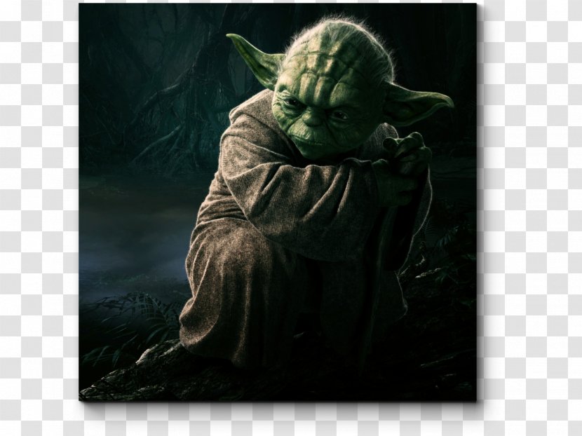 Yoda Luke Skywalker BB-8 Jedi Star Wars - May The Force Be With You - Master Transparent PNG