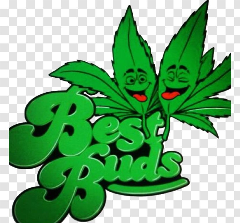 Best Buds Hemp Cannabis Kush Dispensary - Blunt - Fruit Transparent PNG