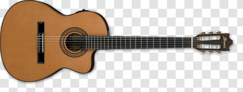 Epiphone DR-100 PRO-1 Acoustic Guitar Musical Instruments - Frame Transparent PNG