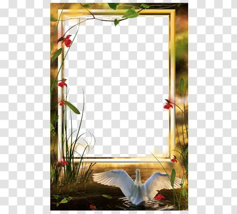 Picture Frame - Digital Image - Swan Romantic Transparent PNG