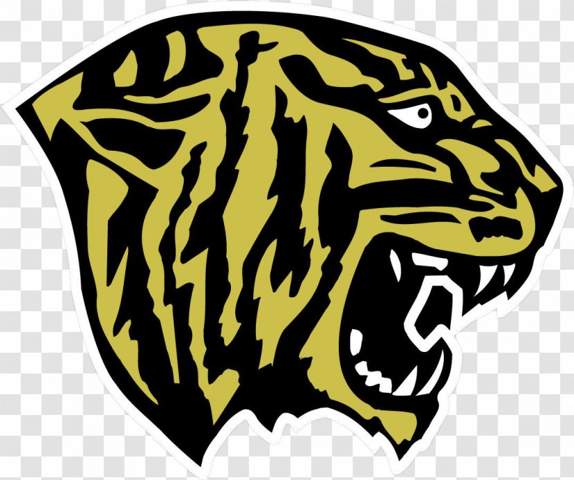 Tiger Fridley High School Winona Sport Tri-Metro Conference - Memphis Tigers Transparent PNG