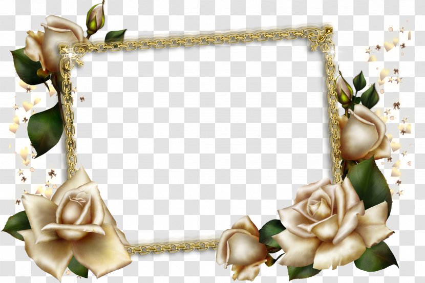 JPEG File Interchange Format Image Editing Resolution - Body Jewelry - Photo Transparent PNG