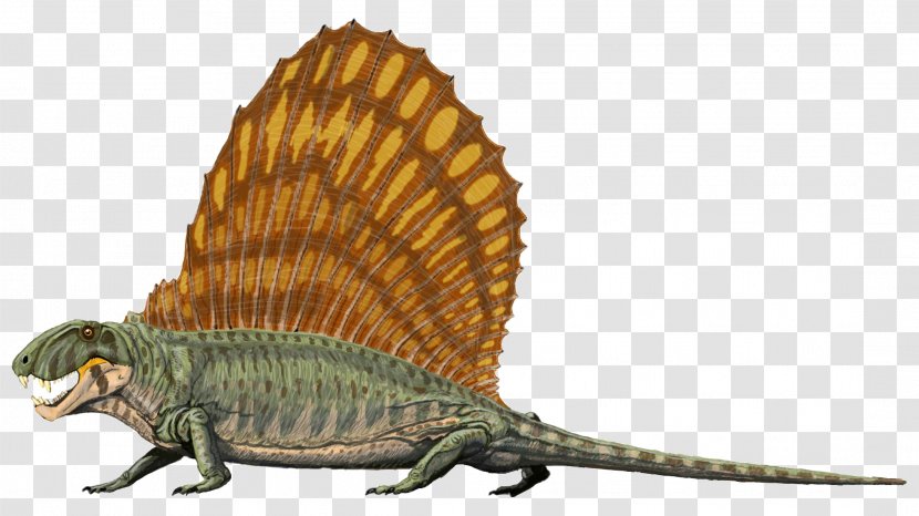 Dimetrodon Limbatus Reptile Pelycosaur Permian Dinosaur - Amphibian Transparent PNG