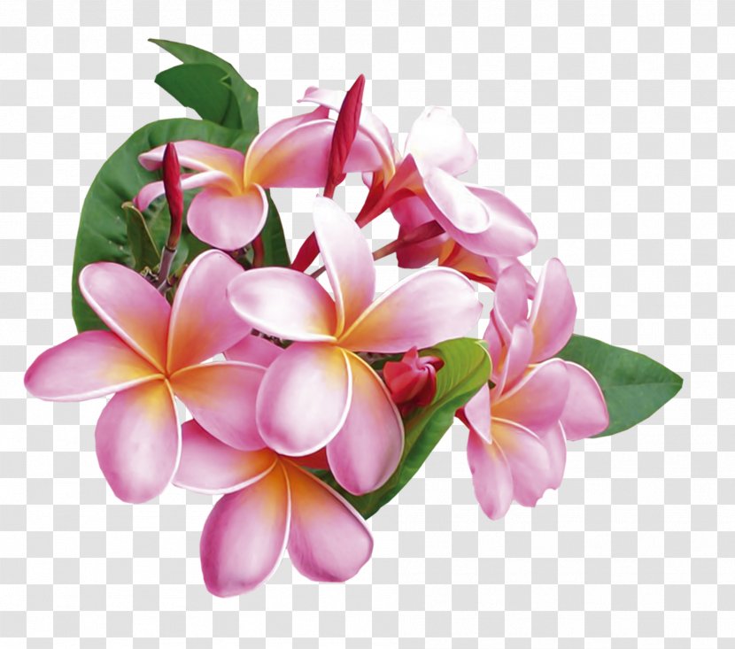 Flower Bouquet Floral Design Clip Art - Lilac - Patterns Transparent PNG