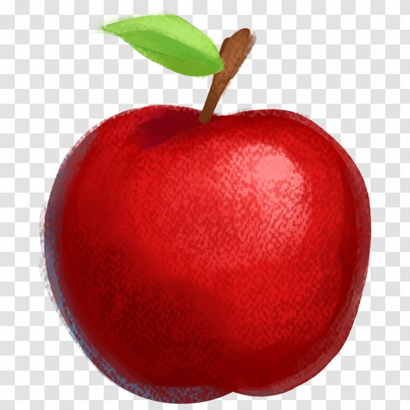 Apple Drawing Fruit Illustration - Mcintosh - Red Transparent PNG