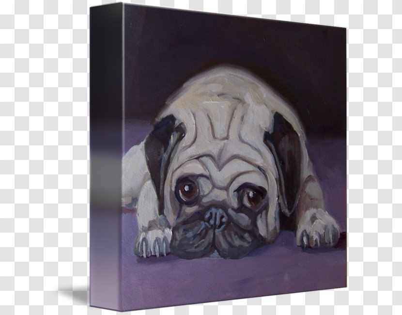 Pug Puppy Dog Breed Toy Gallery Wrap - Mammal Transparent PNG