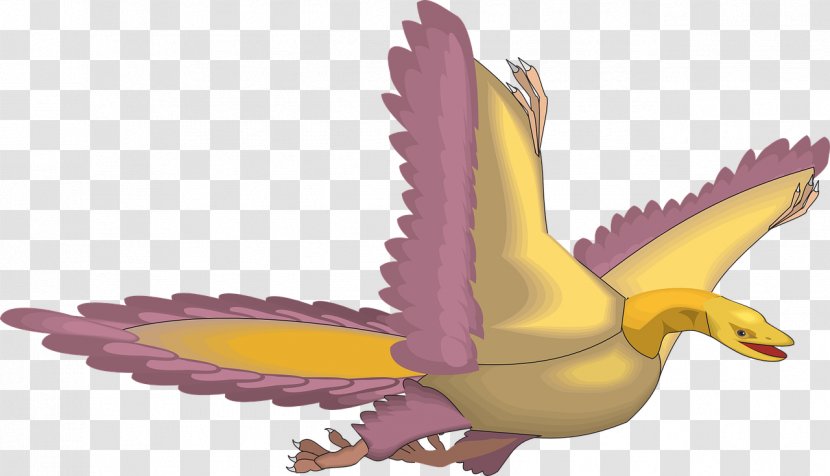 Bird Archaeopteryx Cartoon Transparent PNG
