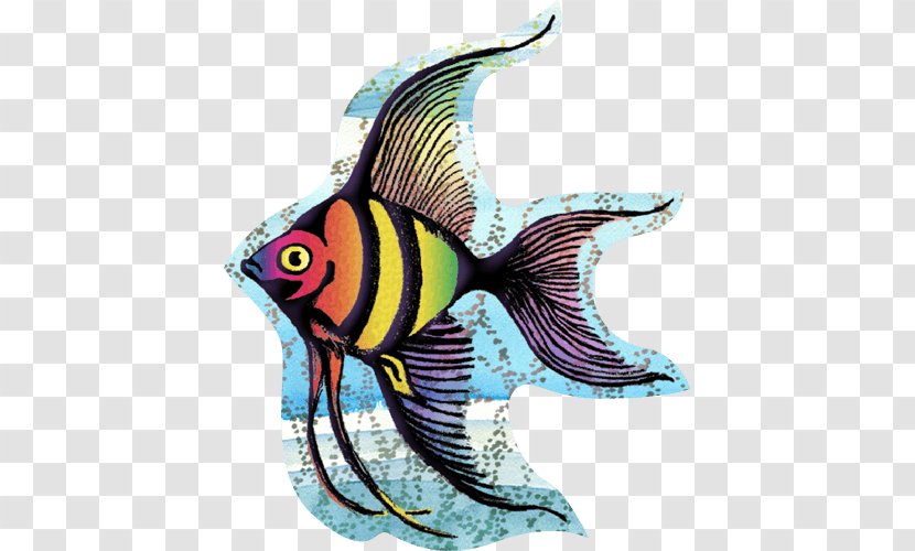 Angelfish Marine Biology Tattoo - Seafood - Fish Transparent PNG