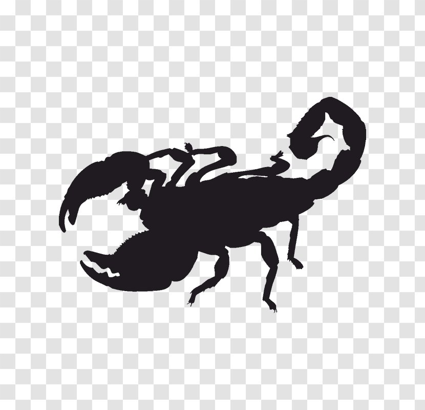 Scorpion Sticker Decal Image Text - Organism Transparent PNG