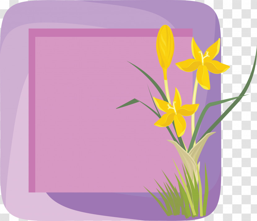 Flower Photo Frame Flower Frame Photo Frame Transparent PNG