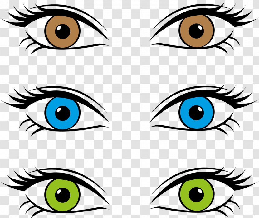 Eye Color Drawing - Cartoon - Eyes Transparent PNG