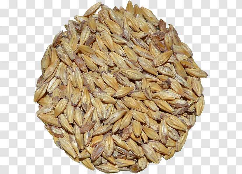 Oat Malt Cereal Spelt Lager - Husk - Beer Brewing Grains Malts Transparent PNG