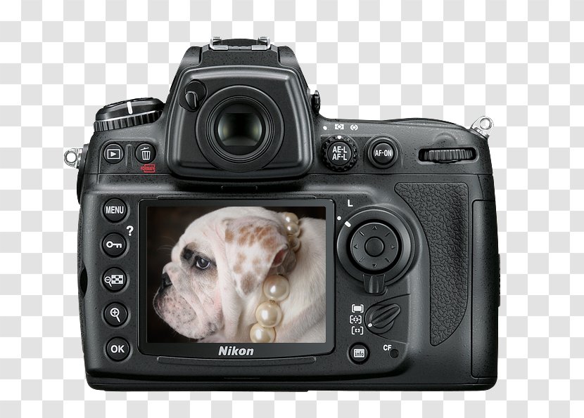 Nikon D7000 D3 Digital SLR Camera - Snout - Europe And The United States Frame Transparent PNG