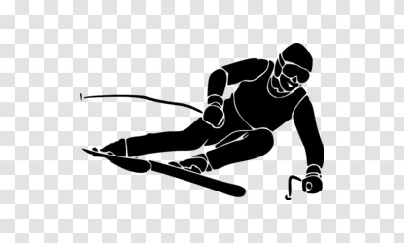 Alpine Skiing Freestyle Freeskiing - Recreation Transparent PNG