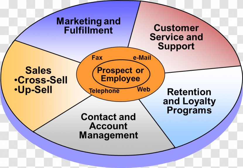 Customer Relationship Management Organization Marketing - Area Transparent PNG
