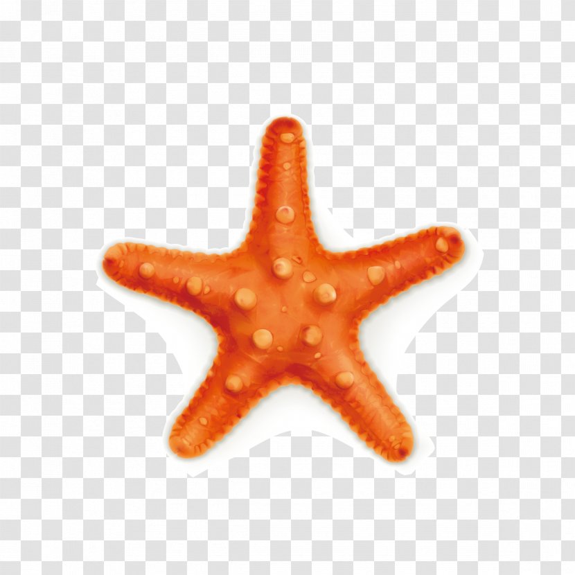Starfish Royalty-free Stock Photography Illustration - Orange - Vector Transparent PNG