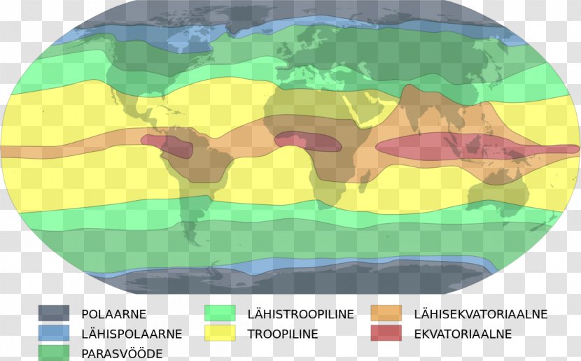 Tropical Rainforest Climate Alisovo Klimato Klasifikacija Weather Temperate - Organism Transparent PNG