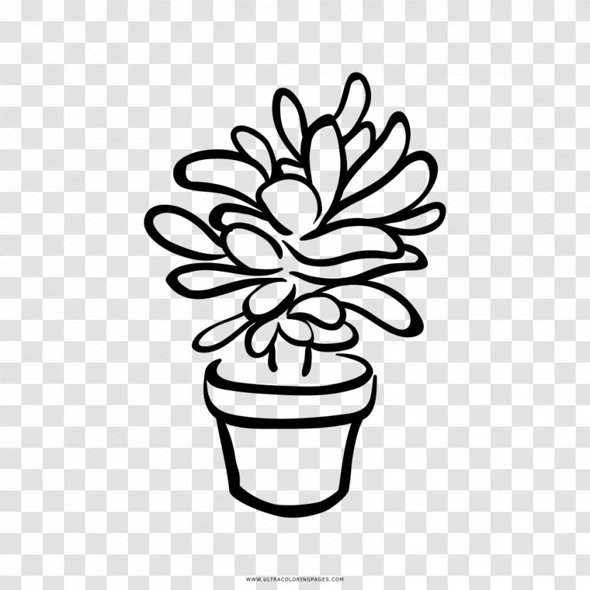 Black And White Succulent Plant Drawing Clip Art - Tree Transparent PNG