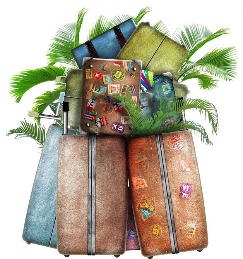 Travel Agent Vacation Hotel Suitcase - Ifwe Transparent PNG