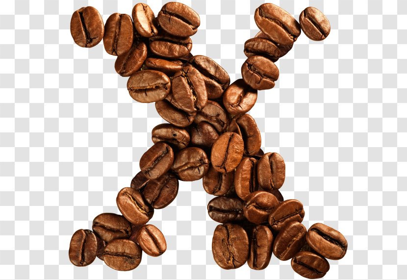 Jamaican Blue Mountain Coffee Bean Cocoa Caffeine Transparent PNG