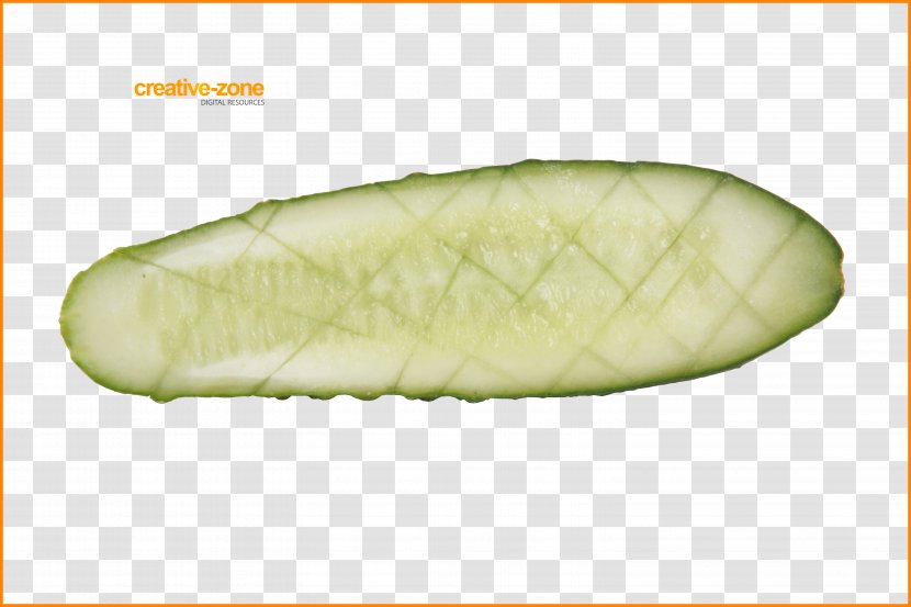Cucumber Vegetable Waltham Zucchini Melon - Food Transparent PNG