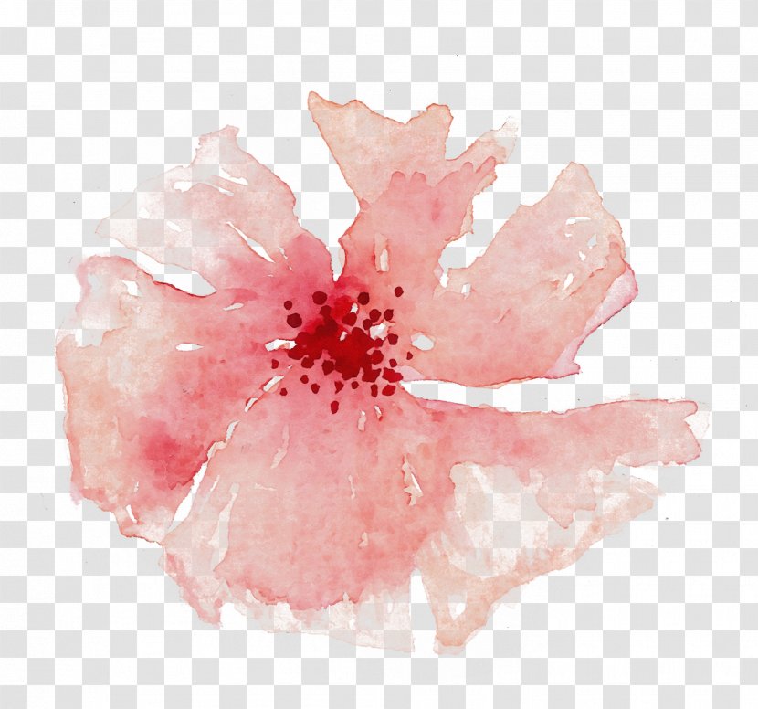 Pink Hawaiian Hibiscus Flower Petal - Watercolor - Mallow Family Paint Transparent PNG